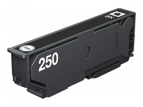 Epson Singlepack Black 250 ink - Originale - Cartuccia di inchiostro