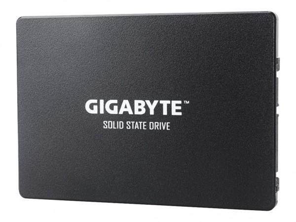 Gigabyte GP-GSTFS31100TNTD - 1 TB - 2.5" - 550 MB/s