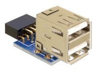 Delock USB Pin Header Buchse> 2 x 2.0 - oben - Adattatore - Digitale/dati