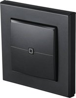 eQ-3 AG Homematic IP Wandtaster– 2-fach anthrazit