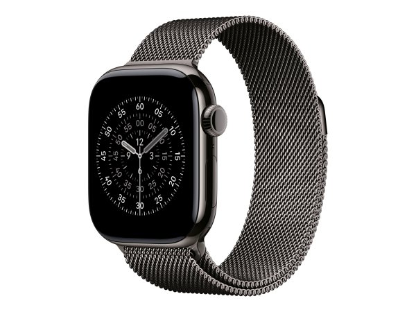 Apple Milanese Loop Slate