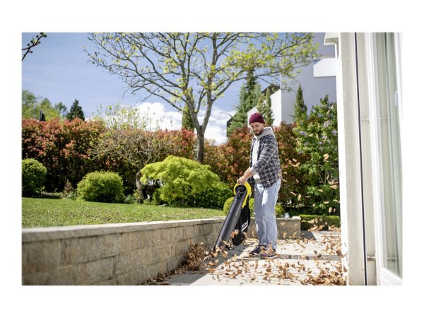 Kärcher BLV 36-240 - Gartensauger/Laubbläser
