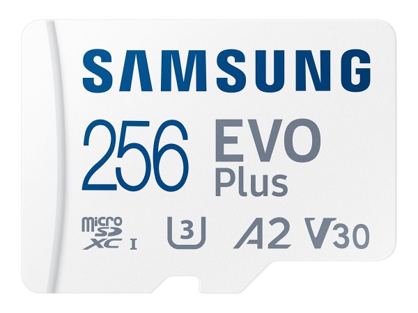 Samsung microSDXC Evo Plus/s 2024 - Micro SD