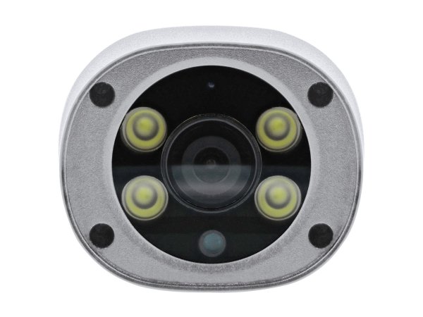 InLine Telecamera da esterno SmartHome HD con luce LED - IP66