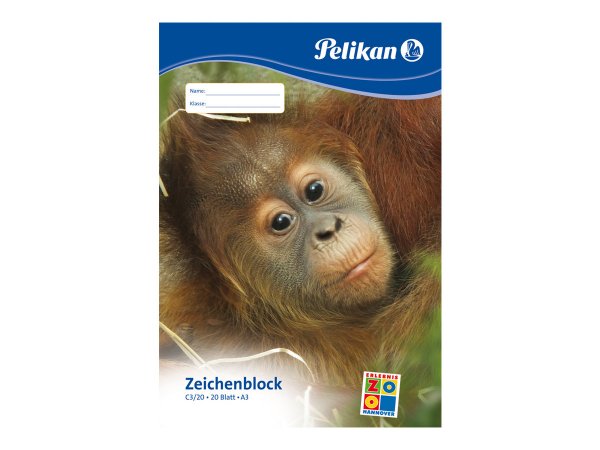 Pelikan 224840 - Blocco di carta da disegno - 20 fogli - Ragazzo/Ragazza - 100 g/m²