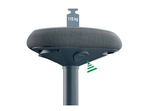 Esselte Leitz Ergo Active Sitzhocker Dunkelgrau