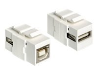 Delock Keystone Modul USB 2.0 A Buchse> 2.0 B - Adattatore - Digitale/dati