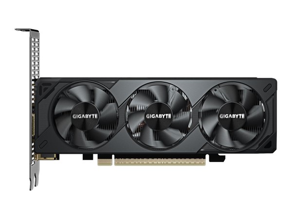 Gigabyte GeForce RTX 5060 Oc Low Profile - Scheda grafica - PCI-Express