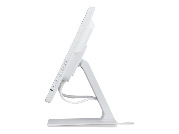 Iiyama T2452MSC-W2AG - Schermo piatto (tft/lcd) - 61 cm