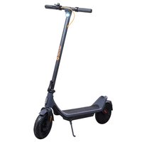 Inter Sales Denver SEL-10360DONAR - Monopattino classico - 20 km/h - 100 kg - Qualsiasi tipo - Grigi