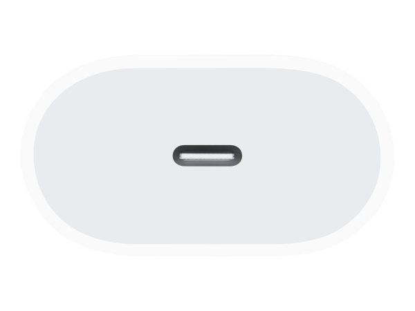 Apple iPad; - Alimentatore pc / server 20000 W