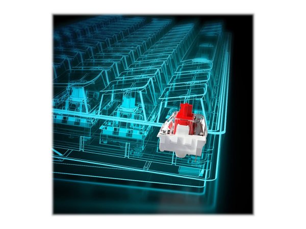 Sharkoon SGK50 S4 - 60% - Cablato - USB - QWERTY - LED RGB - Nero