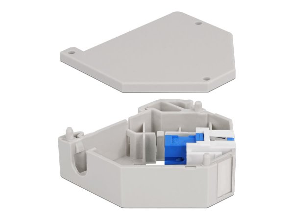 Delock Adattatore guida DIN con Keystone SC Simplex femmina per SC Simplex femmina - Blu - Grigio -