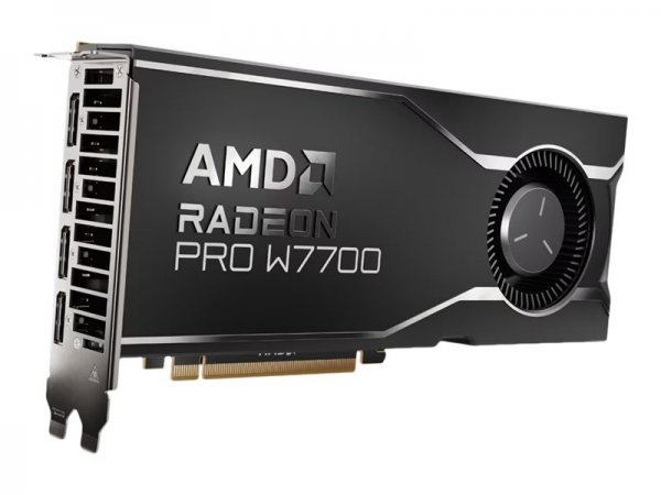 AMD Radeon Pro W7700 - n - Scheda grafica - PCI