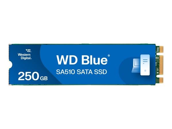WD Blue WD SA510 - 250 GB - M.2 - 555 MB/s - 6 Gbit/s