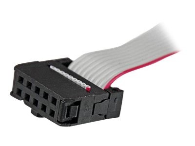 StarTech.com Serial Motherboard Header LP Slot Plate - Cavo - Digitale/dati