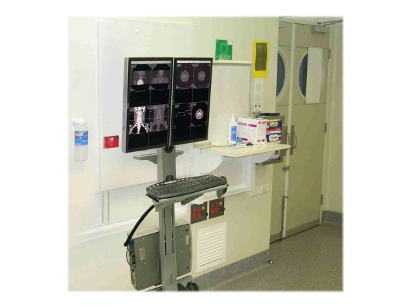 Ergotron Neo-Flex - 20,9 kg - 55,9 cm (22") - 75 x 75 mm - 100 x 100 mm - Regolazione altezza - Grig