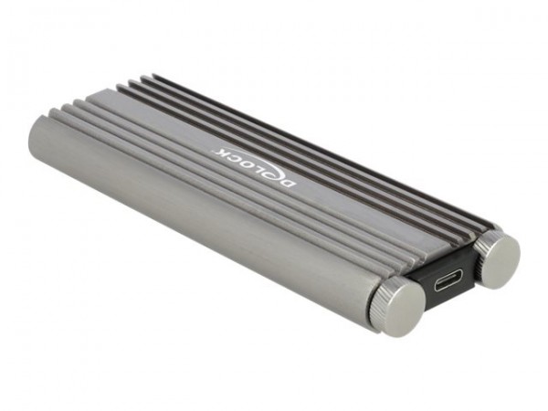 Delock Custodia esterna per SSD M.2 NVMe PCIe con SuperSpeed USB 20 Gbps (USB 3.2 Gen 2x2) USB Type-