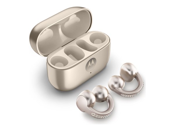 Motorola Solutions Moto Buds Loop by Swarovski - French Oak - Kopfhörer - Bluetooth - Cuffie - In mo