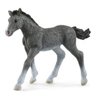 Schleich HORSE CLUB 13944 - 5 anno/i - Grigio