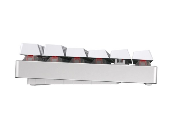Cherry MX 8.2 TKL Wireless RGB - Wireless - RF senza fili + Bluetooth - Interruttore a chiave meccan