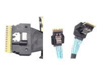Intel Speicherkabelkit - Slim SAS SFF-8654 zu 2x4 - Cavo/adattatore - Digitale/dati