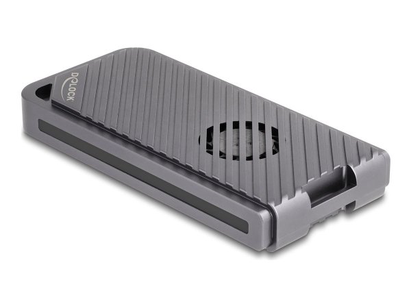 Delock Speichergehäuse - 40 Gbps Gaming-Stil mit LED und Lüfter werkzeugfrei - M.2 - M. - Alloggiame