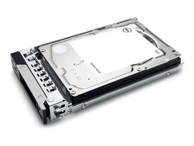Dell Hard Drive SAS ISE 12Gbps 512e 2.5in Hot-Plug - Disco rigido - Serial Attached SCSI (SAS)