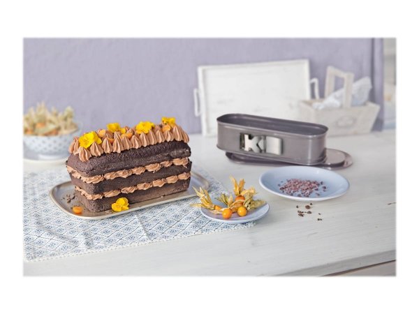 Kaiser Elektro La Forme Plus Springform Königskuchen 30 x 11 cm