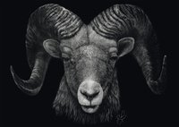 Schmidt Ashley Rader Dominance - Widder Im Zeichen des Feuers 1000 Teile