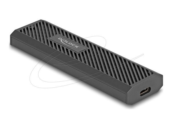 Delock Externes USB Type-C 20 Gbps Combo Gehäuse