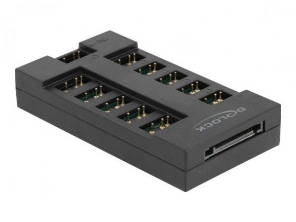 Delock RGB Hub für ARGB LEDs mit 10 Ports - Video/analogico