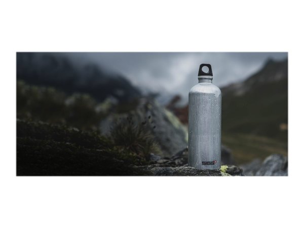 SIGG Trinkflasche Traveller 1 l Alu