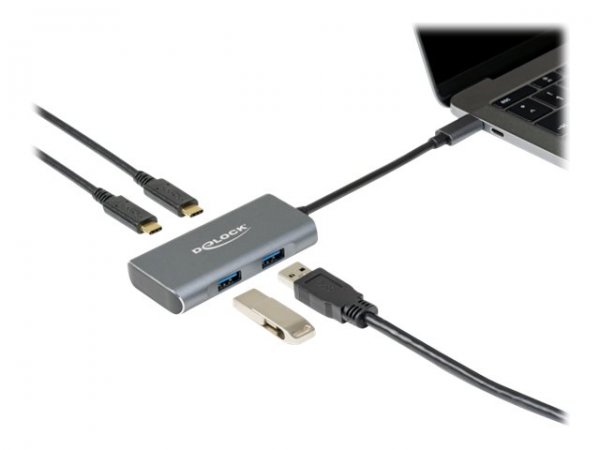 Delock Hub esterno USB 10 Gbps USB Type-C con 2 x USB Tipo-A e 2 x USB Type-C. - USB 3.2 Gen 2 (3.1
