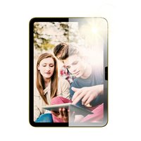 PanzerGlass AntiReflective Protector iPad