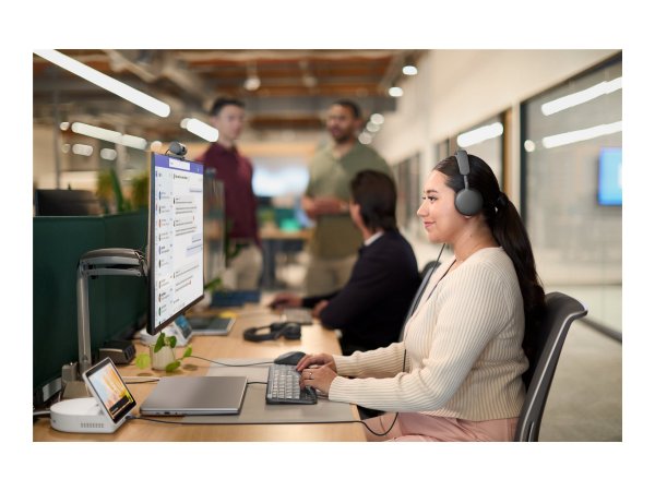 Logitech Zone Wired 2 for Business - Graphite - Cuffia - 20 KHz