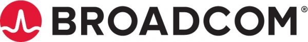 BROADCOM CVPM05 - Modulo di protezione cache - Broadcom 9460 / 9480 Series