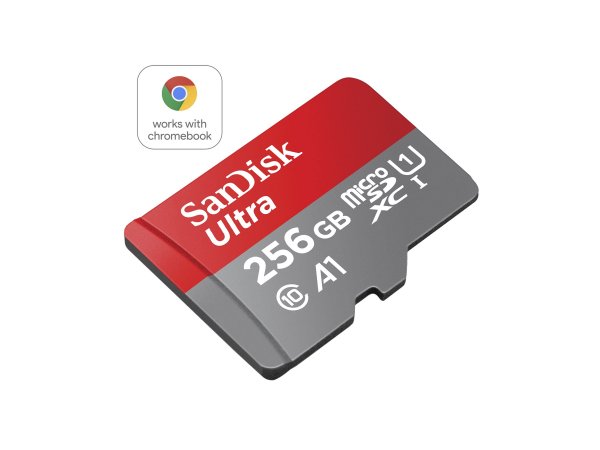 SanDisk SDSQUAC-256G-GN6FA - 256 GB - MicroSDXC - UHS-I - 150 MB/s - A prova di magnete - Resistente