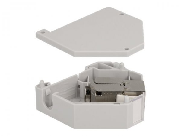 Delock Adattatore per guida DIN con modulo Keystone RJ45 femmina Cat.6A LSA - Grigio - RJ-45 - LSA -
