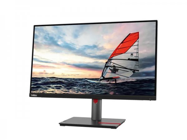 Lenovo ThinkVision P25i-30 - LED-Monitor - 25 in - Schermo piatto (tft/lcd) - 62,2 cm