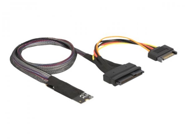 Delock Schnittstellenadapter - 2.5", M.2 (6.4 cm)