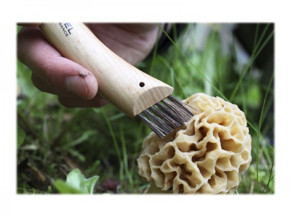 Opinel Pilzmesser braun