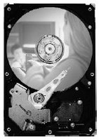 Seagate DB35 Series DB35 7200.3 250GB SATA 3Gb/s - 250 GB - 7200 Giri/min - 8 MB - 3.5" - Seriale AT