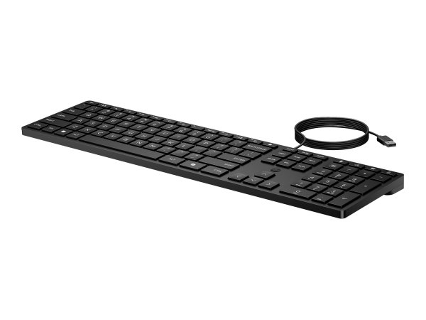 HP Desktop 320K - Tastatur - USB - Desktop
