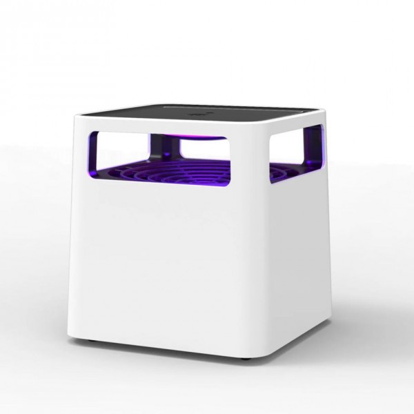 Stylies Enif weiss Mückenfalle