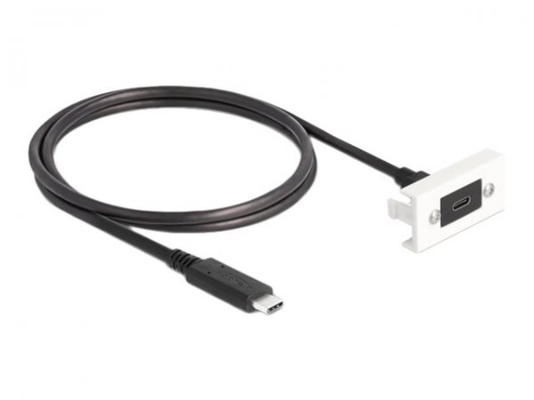 Delock Easy 45 Modul SuperSpeed USB 10 Gbps 3.2 Gen 2 Type-C Buchse zu - Cavo - Digitale/dati