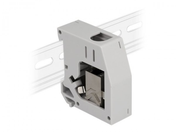 Delock Adattatore per guida DIN con modulo Keystone RJ45 femmina per RJ45 femmina Cat.6A - Piatto -