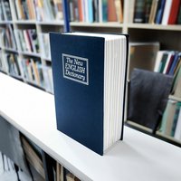 Mad Monkey Bücher Tresor mit Schlüssel