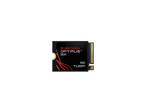 SanDisk SSD Optimus Gx 7100M PCIe-G4