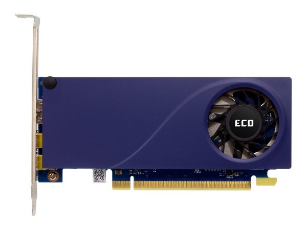 SPARKLE Intel Arc A310 Eco Gddr6 VGA Card - Scheda grafica - PCI